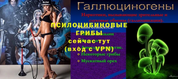 mdpv Верхний Тагил